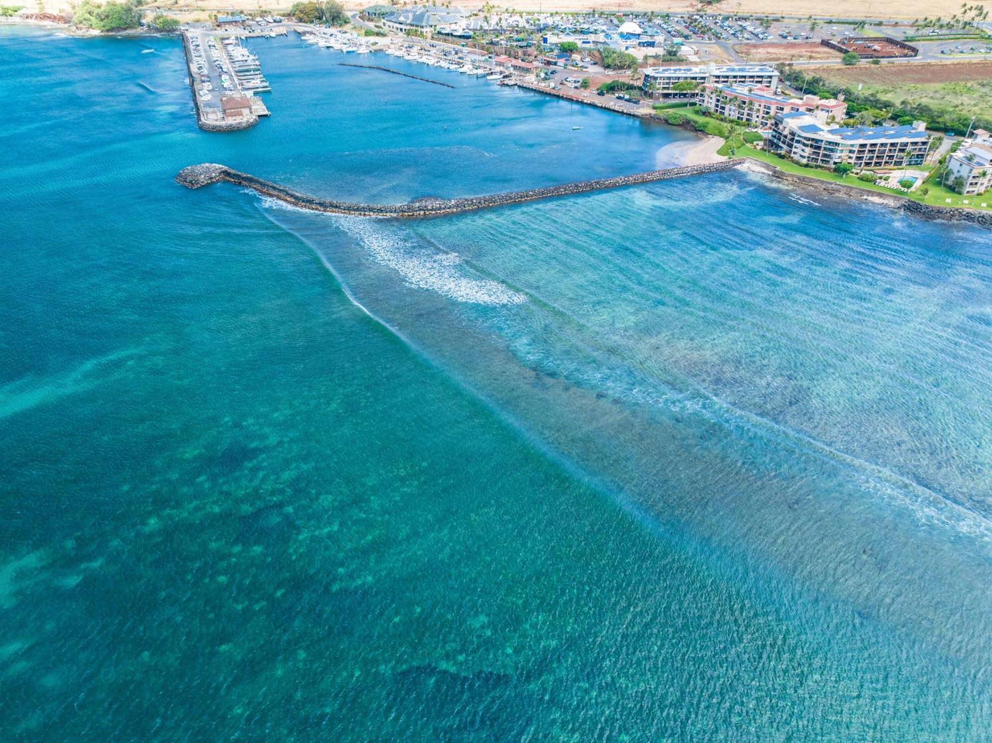 106 Milowai Wailuku Екстер'єр фото